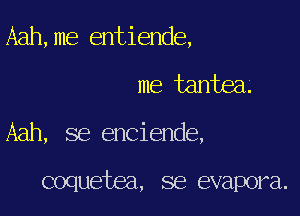 Aah,me entiende,

me tantea

Aah, se enciende,

coquetea, se evapora.