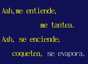 Aah,me entiende,

me tantea

Aah, se enciende

coquetea, se evapora.