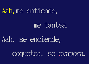 Aah,me entiende,

me tantea.

Aah, se enciende,

coquetea, se evapora.