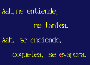 Aah,me entiende,

me taniea.

Aah, se enciende,

coquetea, se evapora.