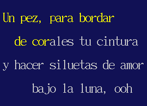 Un 1362, para bordar
de coralae tu Cintura
y hacer Si luetas de amor

bajo la luna, 00h