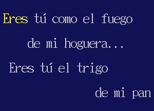 Eras 1313 como el fuego

de mi hoguera. . .

Eres 1311 el trigo

de mi pan