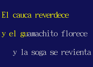 E1 cauca reverdece
y el guamachito florece

y la soga se revienta