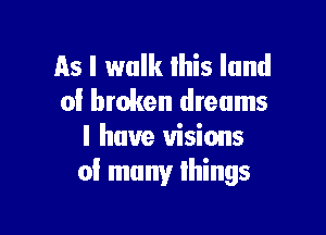 as I walk this land
of broken dreams

I have visions
of many things