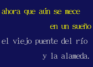 ahora que adn se mece

en un sue 0

e1 viejo puente del rio

y la alameda.