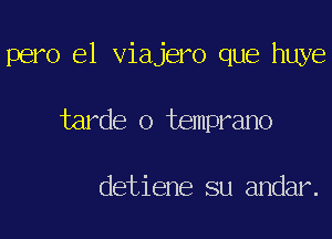 pero el viajero que huye

tarde o temprano

detiene su andar.