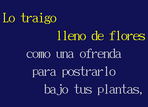 Lo traigo
lleno de flores

como una ofrenda
para postrarlo
bajo tus plantas,