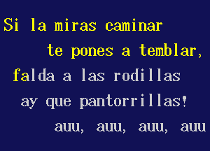 Si la miras caminar
te panes a temblar,
falda a las rodillas
ay que pantorrillas!

auu, auu, auu, auu