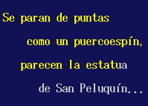 Se paran de puntas

como un puercoespfn,

parecen la estatua

de San Peluqufn...