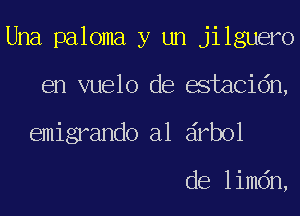 Una paloma y un jilguero
en vuelo de estacidn,
emigrando a1 drbol

de limdn,