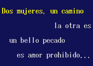 Dos mujeres, un camino

la otra es

un bello pecado

es amor prohibido...