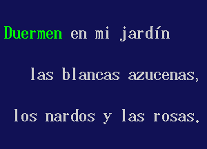 Duermen en mi jardfn
las blancas azucenas,

los nardos y las rosas.