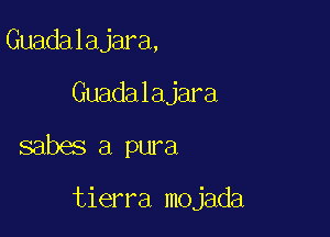 Guadalajara,
Guada 1 ajara

sabes a pura

tierra mojada