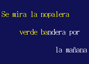 Se mira 1a nopalera

verde bandera por

la mahana