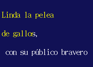 Linda la pelea

de gallos,

con su pablico bravero