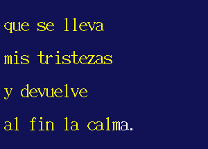 que se lleva

mis tristezas

y devuelve

al fin la calma.