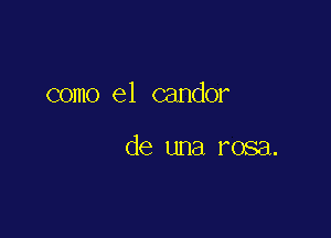 como el candor

de una rosa.