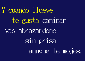 Y cuando llueve
te gusta caminar

vas abrazandome
sin prisa
aunque te mojes.