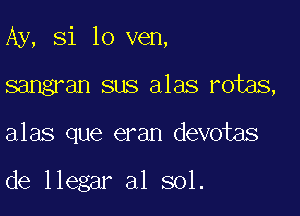 Ay, Si 10 ven,

sangran sus alas rotas,

alas que eran devotas

de llegar a1 sol.