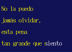 N0 1a puedo
jamas olvidar,

esta pena

tan grande que siento