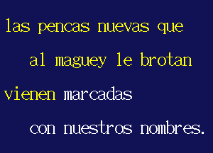 las pencas nuevas que

al maguey le brotan
vienen marcadas

con nuestros nombres.