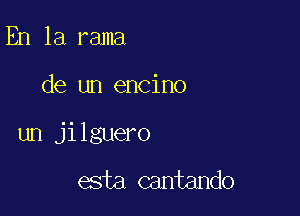 En la rama

de un encino

un jilguero

esta cantando