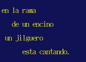 en la rama

de un encino

un jilguero

esta cantando.