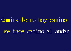 Caminante no hay camino

se hace camino a1 andar