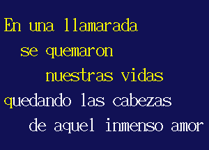 En una llamarada
se quemaron
nuestras Vidas

quedando las cabezas
de aquel inmenso amor