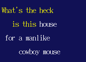 What, 8 the heck

is this house

for a manl Like

cowboy mouse