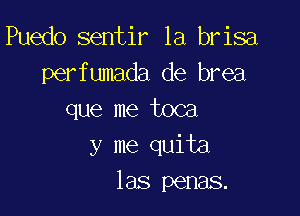 Puedo sentir 1a brisa

perfumada de brea
que me toca

y me quita
las penas.