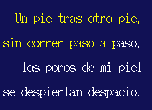 Un pie tras otro pie,
sin correr paso a paso,
los poros de mi piel

se despiertan despacio.