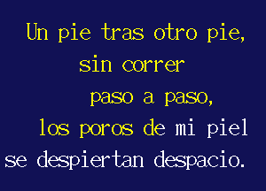 Un pie tras otro pie,
Sin correr
P380 3 P380,
lOS poms de mi piel
se despiertan despacio.