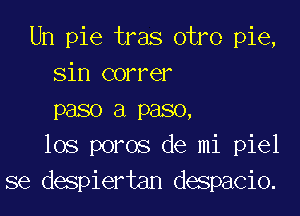 Un pie tras otro pie,
sin correr

paso a paso,
los poros de mi piel
se despiertan despacio.