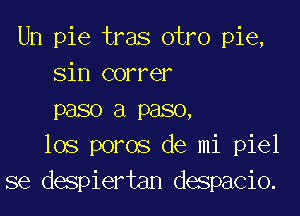 Un pie tras otro pie,
sin correr

paso a paso,
los poros de mi piel
se despiertan despacio.