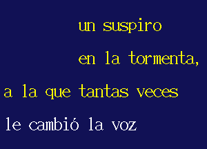 un suspiro

en la tormenta,

a la que tantas veces

1e cambio la voz