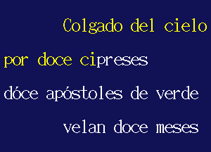 Colgado del Cielo

por doce cipreses

dOce apOstoles de verde

velan doce meses