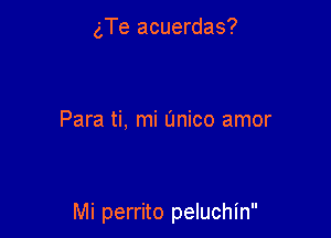 gTe acuerdas?

Para ti, mi L'mico amor

Mi perrito peluchin