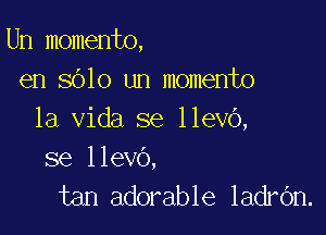 Un momento,
en 8010 un momento

la Vida se llevO,
se llevo,

tan adorable ladrOn.