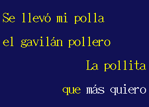 Se llevO mi polla

e1 gavilan pollero

La pollita

que mas quiero