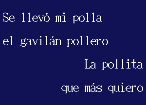 Se llevO mi polla

e1 gavilan pollero

La pollita

que mas quiero