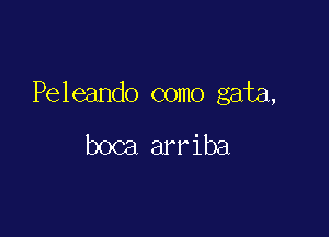 Peleando como gata,

boca arriba