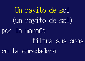 Un rayito de sol
(un rayito de sol)

por la mana a
filtra sus oros
en la enredadera