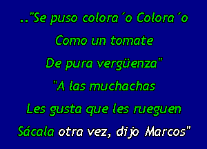 ..Se puso coiora 'o Cotora '0
Como un tomate
De pura vergiienza
A (as muchachas
Les gusto que (es rueguen

Scicaia otra vez, dip Marcos