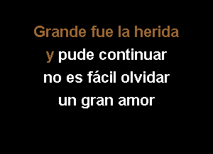 Grande fue la herida
y pude continuar

no es facil olvidar
un gran amor