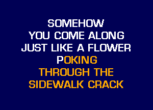 SUMEHOW
YOU COME ALONG
JUST LIKE A FLOWER
POKING
THROUGH THE
SIDEWALK CRACK