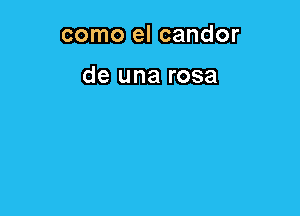 Q1 candor
ma rosa