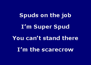 Spuds on the job

I'm Super Spud

You can't stand there

I'm the scarecrow