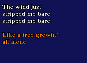 The wind just
stripped me bare
stripped me bare

Like a tree growin'
all alone