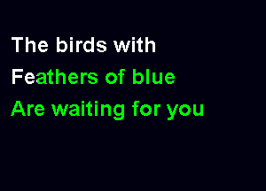 The birds with
Feathers of blue

Are waiting for you